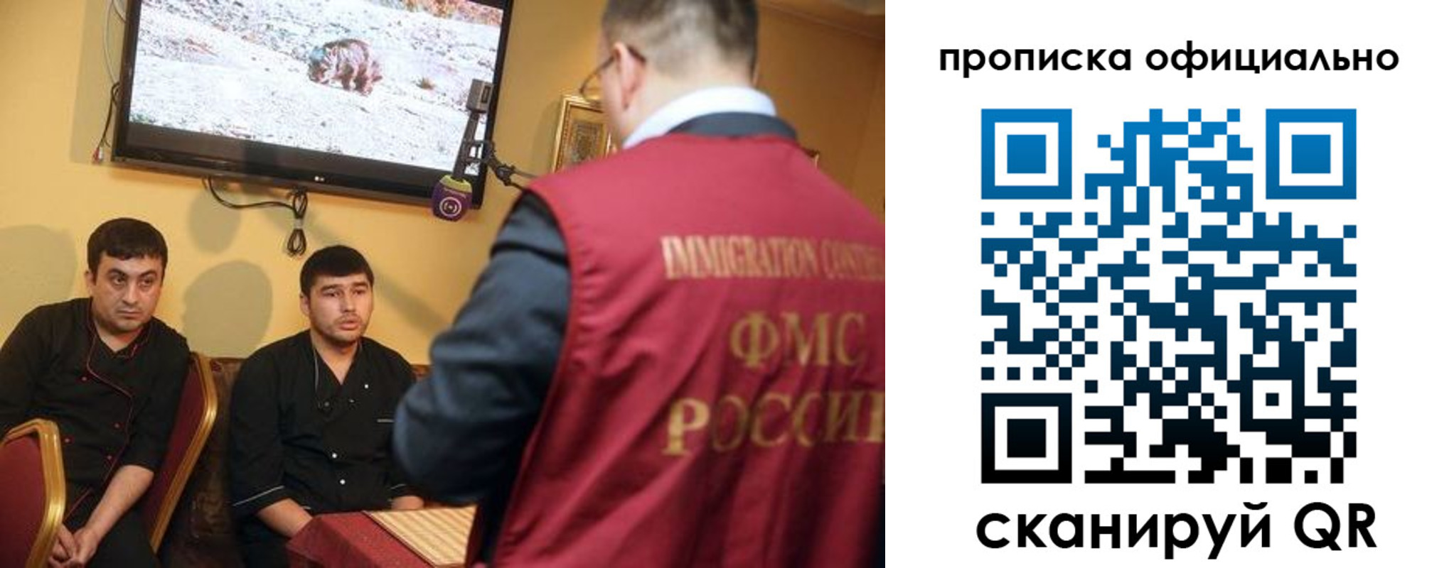 где прописаться в Купино